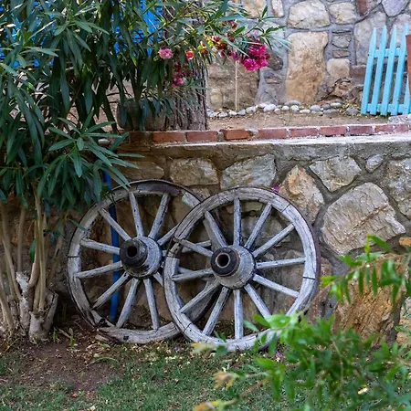 Koko Villa