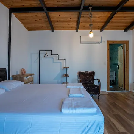 Koko Villa *