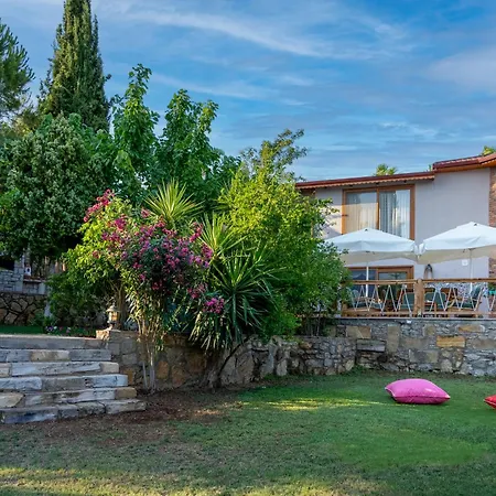 Villa Koko